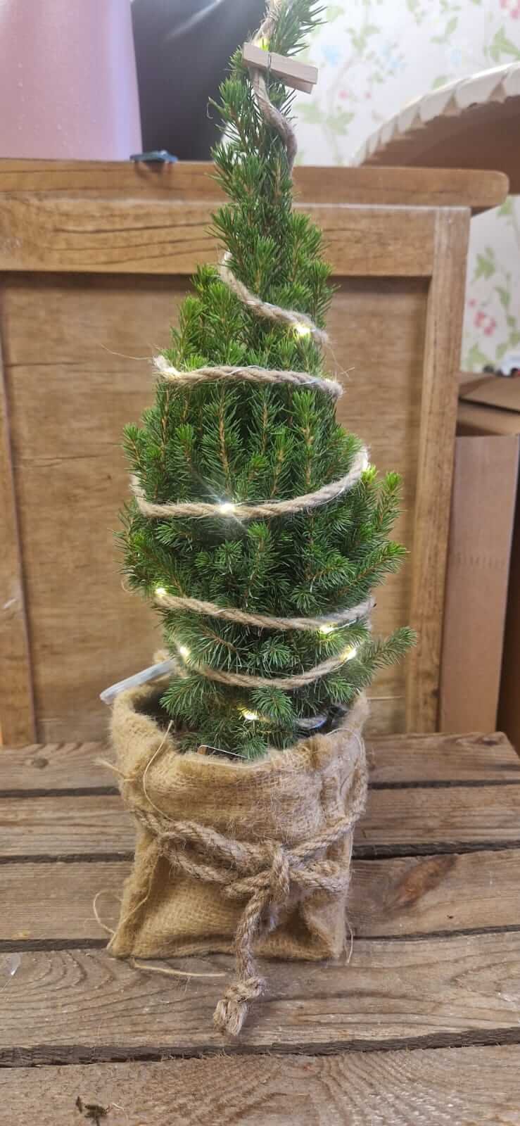 Festive Advent arrangement with candles and greenery